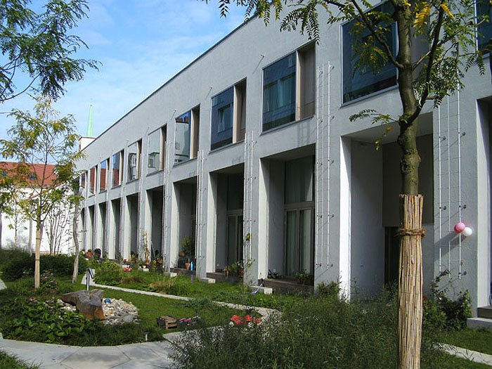 Hofbegrünung, bodengebundene Fassadenbegrünung mit Polygrün Kletterhilfen aus GFK im Innenhof, Zelterstr. Berlin