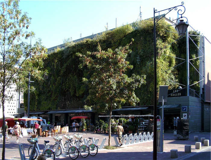 Wandgebundene Fassadenbegrünung, vertikaler Garten, living wall