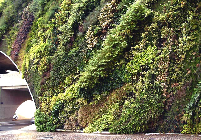 Vertikale Gärten, mur vegetal, living wall, greenwall Fassadenbegrünung Teil eines "Vertikalen Gartens" Begrünte Brücke in Aix en Provenze, Ausführung Patrick Blanc, 2008